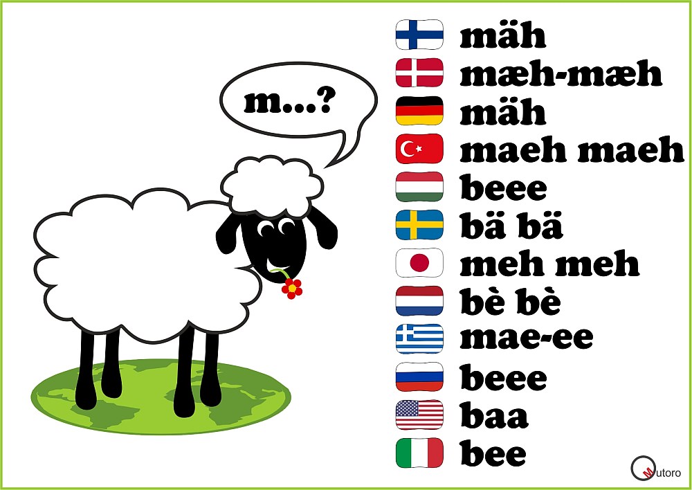 international sheep sounds